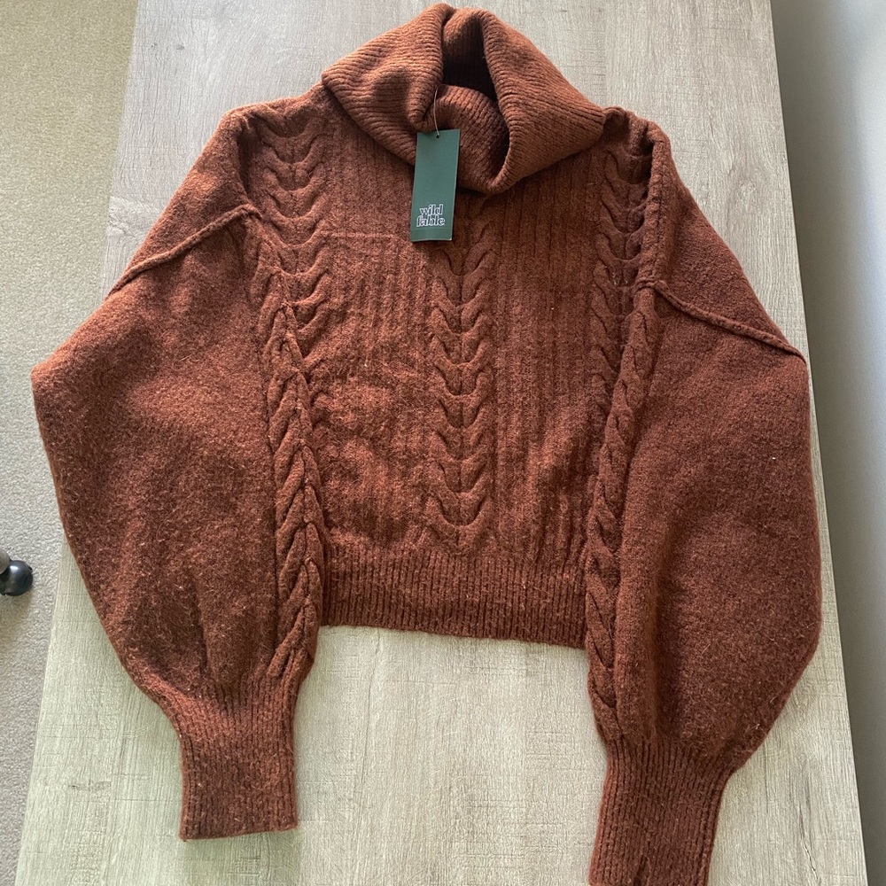NWT Brown Cropped Wild Fable Sweater